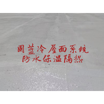 上海厂房屋顶页岩面SBS防水卷材翻新公司固蓝防水补漏