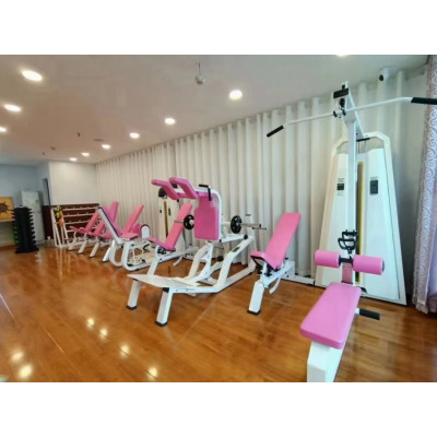 河南鹤壁女子健身器材私教高拉背平拉训练器健身房