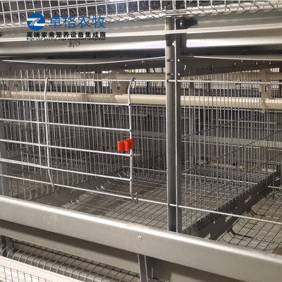卓格层叠式蛋鸡笼自动化养鸡大型养殖场规划设养鸡设备全套