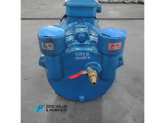 自贡自泵2BV水环式真空泵及真空设备
