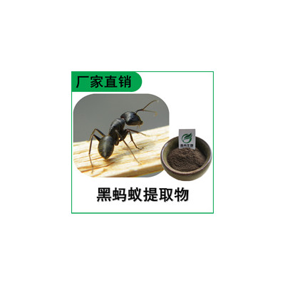 森冉生物 黑蚂蚁提取物 黑蚂蚁粉 高倍浓缩粉