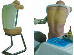 益联医学背部（胸部）穿刺训练模型
